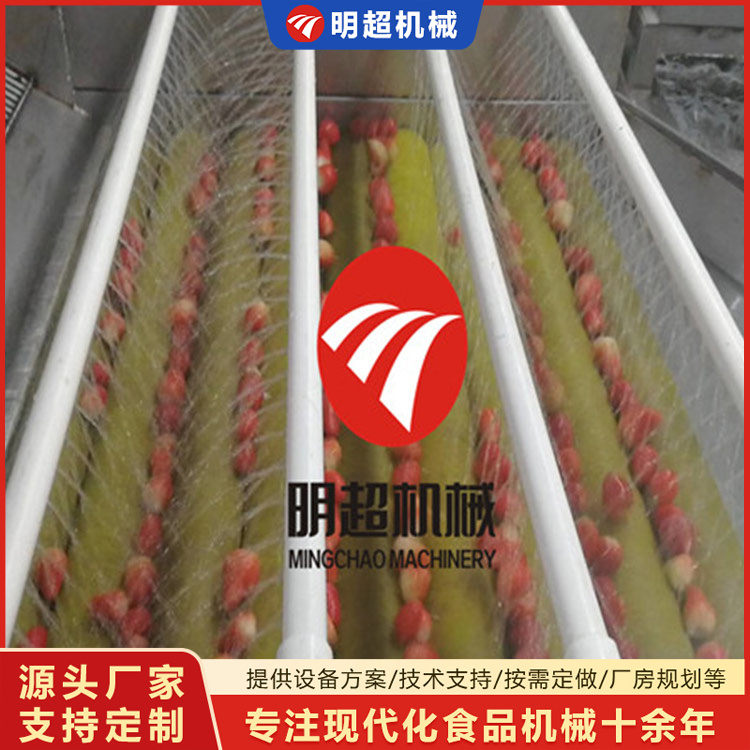 草莓清洗機(jī)