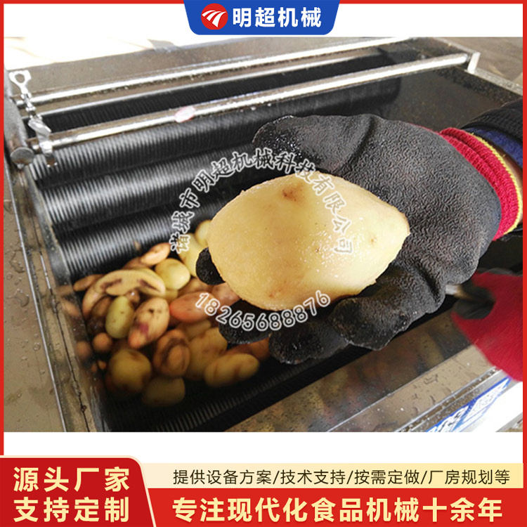 土豆清洗機(jī)生產(chǎn)廠家