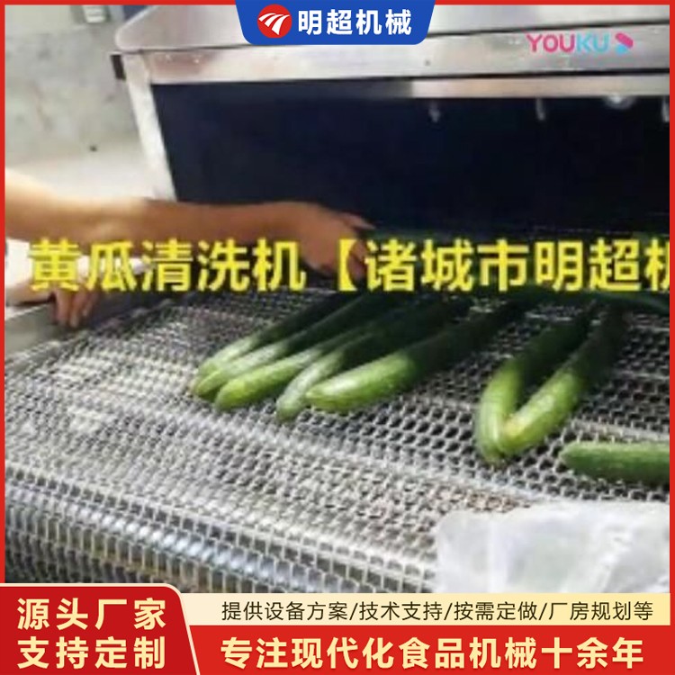 黃瓜噴淋清洗機(jī)視頻