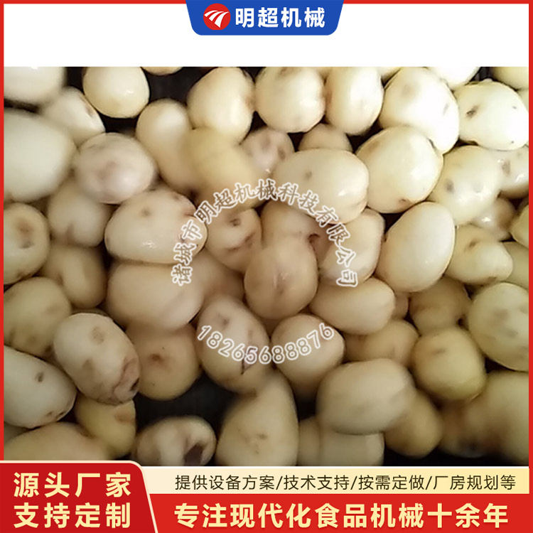 芋頭疙瘩去皮清洗機(jī)視頻
