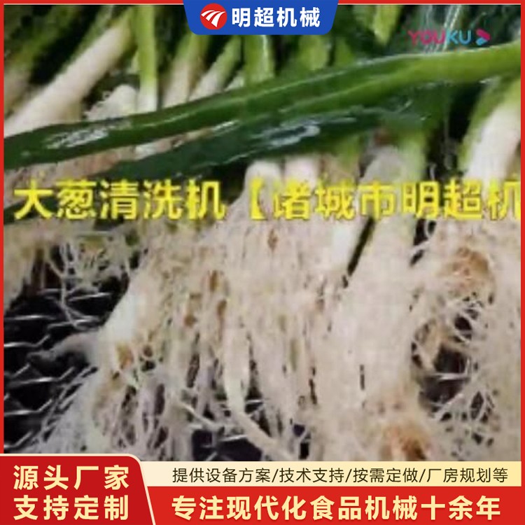 大蔥噴淋清洗機(jī)生產(chǎn)廠家視頻