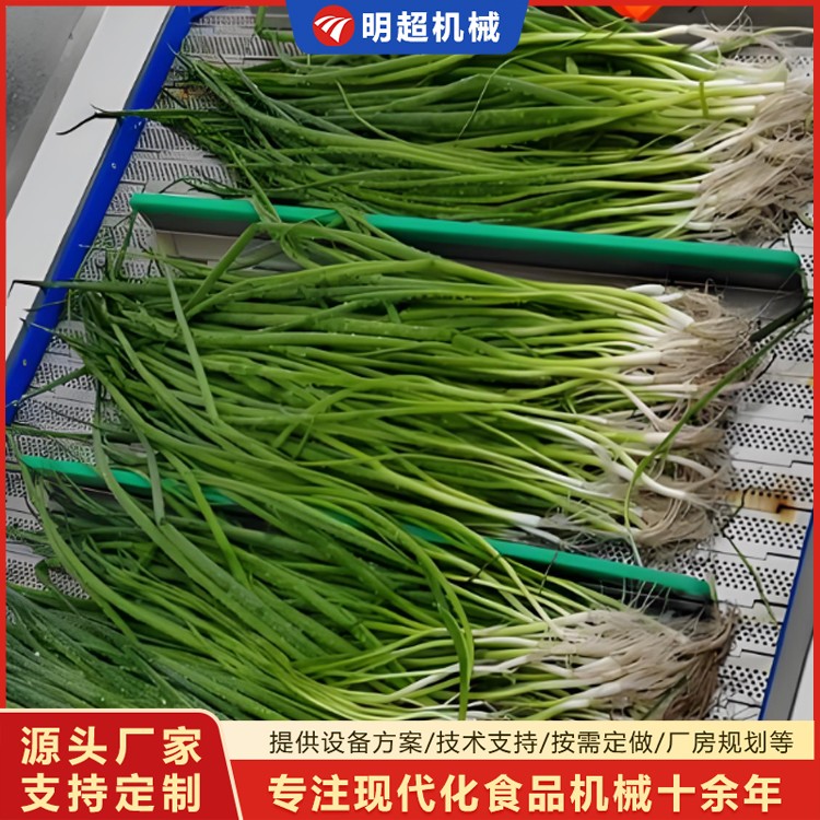 大蔥噴淋清洗機(jī)廠家選購(gòu)小根蔥清洗機(jī)視頻