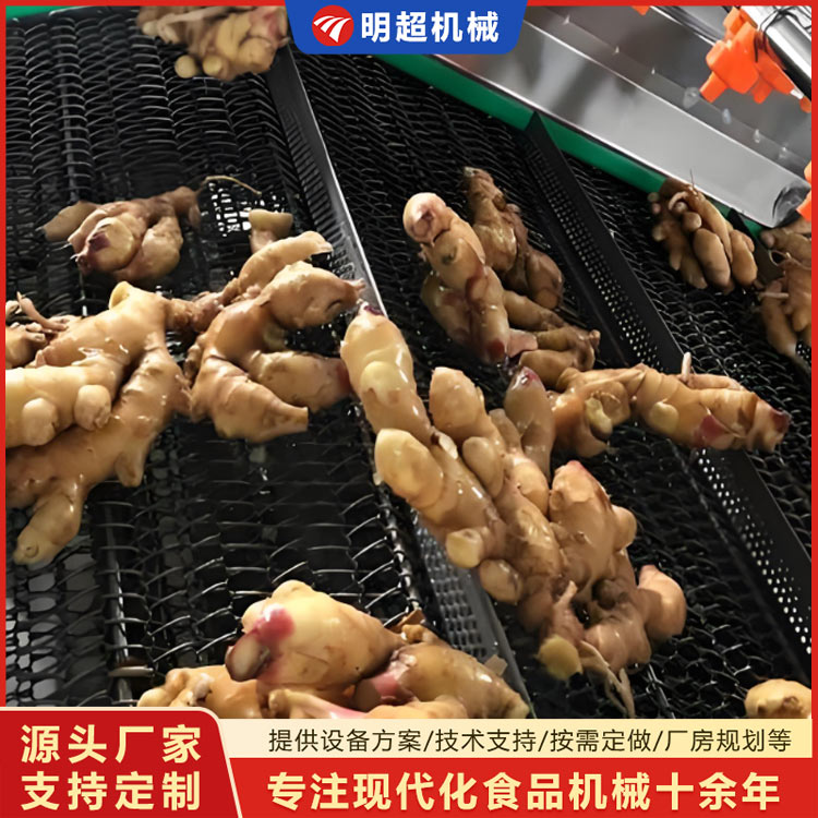 生姜噴淋清洗機(jī) 小黃姜去泥沙清洗機(jī)視頻